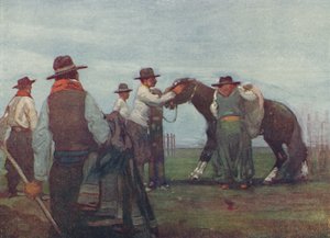 Gaúchos quebrando em um cavalo jovem, 1916 de A. S. Forrest