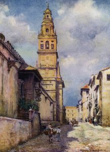 Cordova, Calle Cardinal Herrera (cor litho) de A. Trevor Haddon