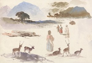 Folha de Estudos de Veados, Figuras e Paisagem