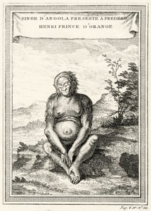 Ilustração do Orang-Outang apresentado a Frederick Henry, Príncipe de Orange, 1750 de Abbé Prévost
