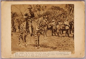 Cavalo e cruzador camuflados, pasta de estudo para o livro Concealing Coloration in the Animal Kingdom de Abbott Handerson Thayer