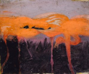 Flamingos vermelhos, estudo para o livro Concealing Coloration in the Animal Kingdom de Abbott Handerson Thayer