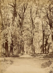 México. Bosque de Chapultepec, Perto do México