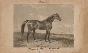 Aliwal, a propriedade de Sir Harry Smith, Bart (litografia) de Abraham (after) Cooper