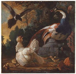 Um pavão, aves e uma pega em uma paisagem, 1720 de Abraham Bisschop