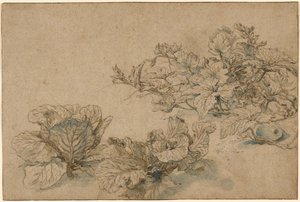 Estudos de uma aboboreira e couves de Abraham Bloemaert