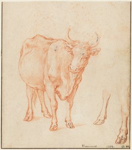 Estudos de uma vaca de Abraham Bloemaert