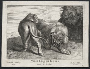 Vários Leões. de Abraham Blooteling