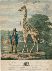 Retrato da girafa, 1827