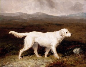 Charles Brett