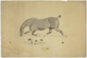 Corrida de cavalos e cães de Abraham Cooper