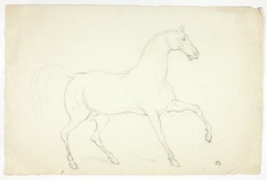 Garanhão de Abraham Cooper