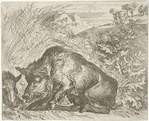 Javali selvagem
Vários animais (título da série) de Abraham Danielsz. Hondius