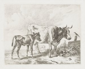 Vaca e um bezerro em um prado