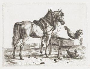 Cavalo em um alimentador