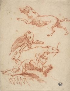 Esboços de cães brincalhões