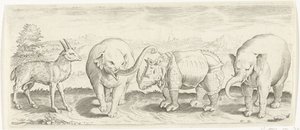 Gazela, elefante e rinoceronte Animais (título da série) de Abraham de Bruyn (possibly)