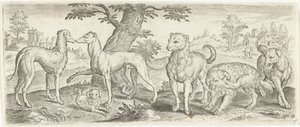 cães Animais (título da série) de Abraham de Bruyn (possibly)