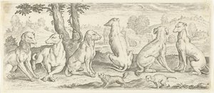 cães Animais (título da série) de Abraham de Bruyn (possibly)