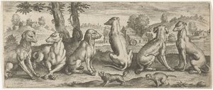 cães Animais (título da série) de Abraham de Bruyn (possibly)