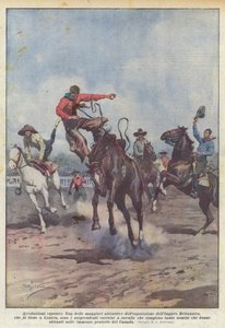 Acrobacia Equestre
