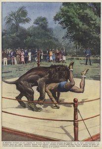 No Zoológico de Los Angeles, na América, um jogo entre um leão tem sido muito bem sucedido