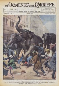 Do circo para a rua