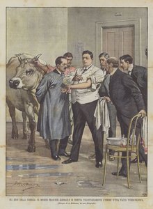 Os heróis da ciência, o doutor francês Garnault injetam voluntariamente a vaca tuberosa de DUna do humor