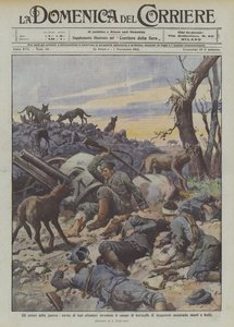 Os horrores da guerra, hordas de lobos famintos invadem o campo de batalha de Augustow atacando mortos e feridos