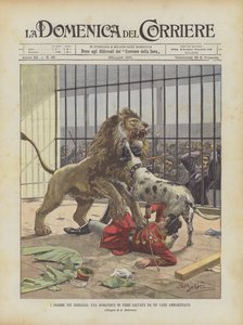 Dramas no Serralho, um domador do Comércio Justo salvo por um cão treinado