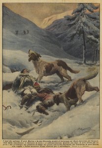 Cães que salvam