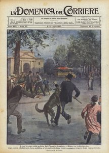 Cães ajudando a polícia