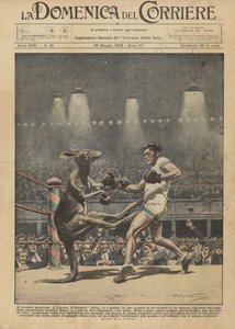O canguru pugilista de Achille Beltrame