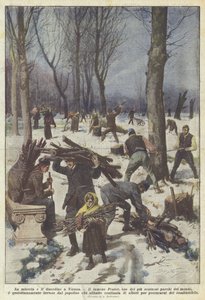 Miséria e desordem em Viena