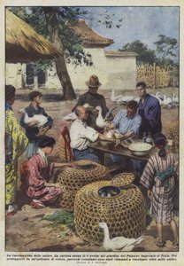 Vacinação de patos de Achille Beltrame