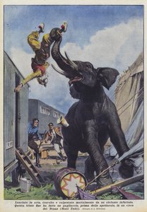 Lançada no ar, esmagada e pisoteada por um elefante enfurecido