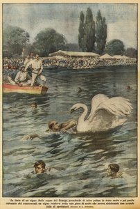 A fúria de um cisne de Achille Beltrame