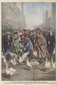 As extravagâncias americanas, os gansos Derby, na Madison Avenue, em Nova York, para a inauguração