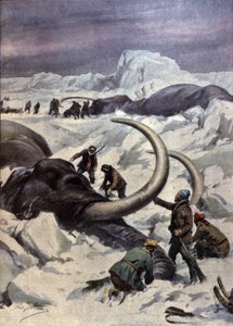 Mamutes no Pólo Norte de Achille Beltrame