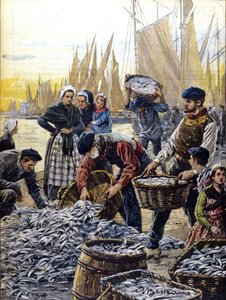A pesca da sardinha na Bretanha, em 1903, ilustração de Achille Beltrame de Achille Beltrame