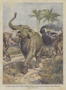 Um Trenc atacado por um Torma de elefantes selvagens, ao longo da linha ferroviária de Assam (Indo-China)