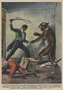 Um domador que deu um show na gaiola de um tigre, em uma cidade francesa