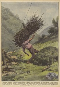 Um feixe de madeira, chegou a grande velocidade na base do teleférico de uma montanha perto de Varese