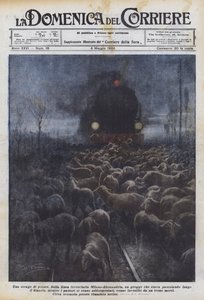 Um massacre de ovelhas