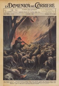 Um massacre de ovelhas