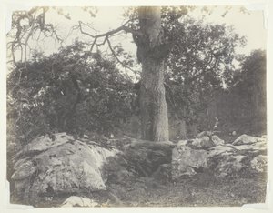 Floresta e rochas, Fontainebleau de Achille Quinet