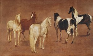 Estudo de cinco cavalos