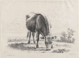 Vaca pastando, 1805., 1805. de Adam von Bartsch