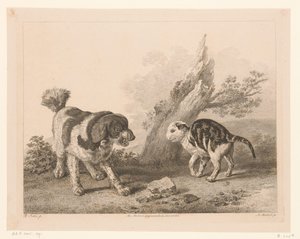 Cão e gato em posição de luta virados um para o outro
Animais após pinturas de mestres holandeses (título da série)
Différens animaux gravés d