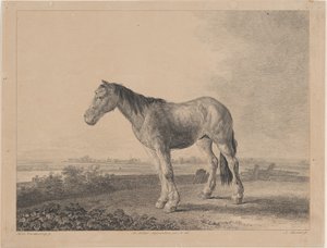 Cavalo parado em um campo de perfil à esquerda, 1809. de Adam von Bartsch